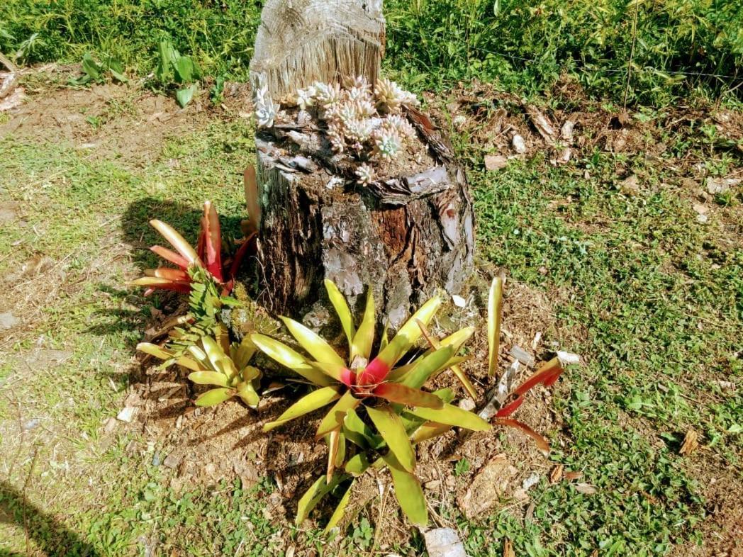 Chale Vale Das Flores - Visconde De Maua Rj Bagian luar foto