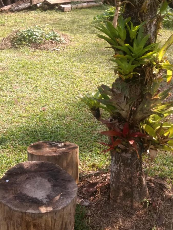 Chale Vale Das Flores - Visconde De Maua Rj Bagian luar foto