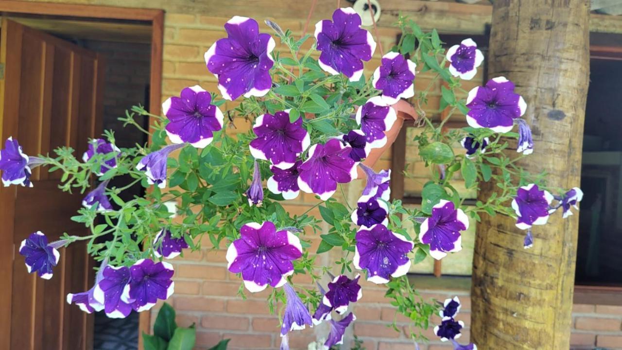 Chale Vale Das Flores - Visconde De Maua Rj Bagian luar foto